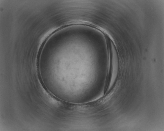X0000074300995200608251206