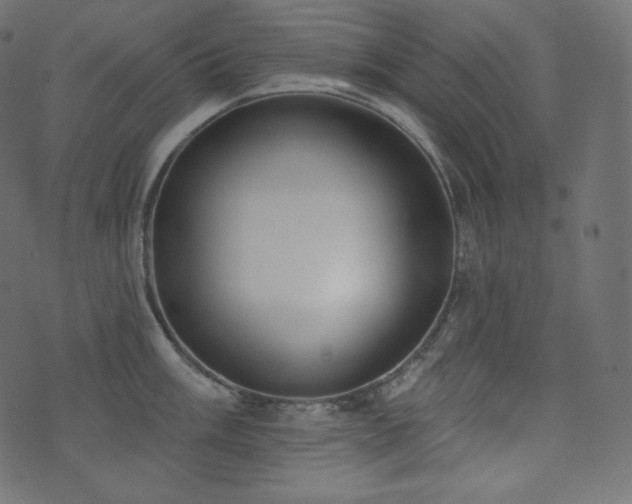 X0000074301003200608251206
