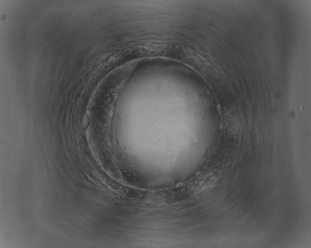 X0000074301009200608251205