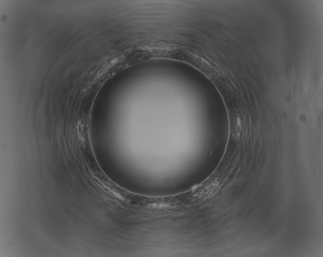 X0000074301010200608251205