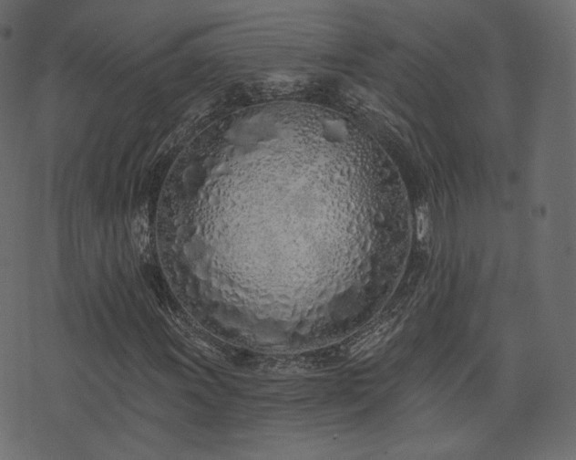 X0000074301011200608251205