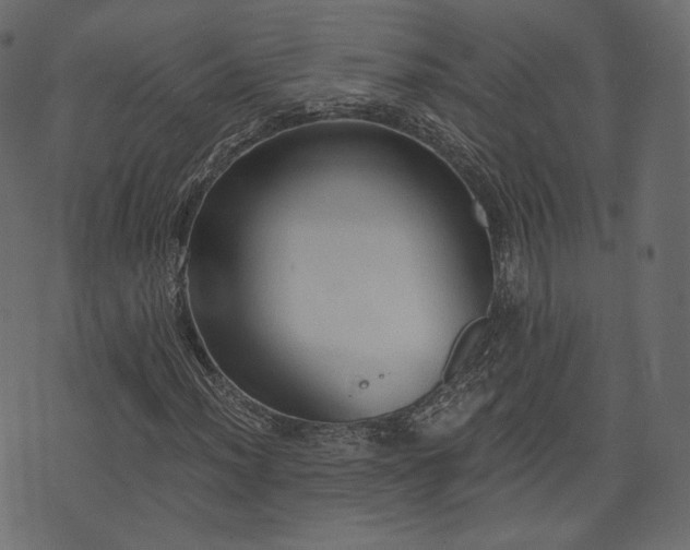 X0000074301012200608251205