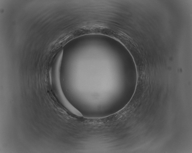 X0000074301014200608251205