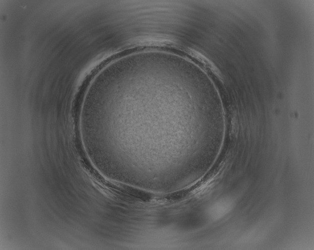X0000074301027200608251205