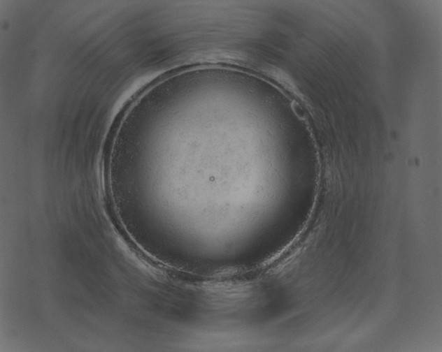 X0000074301032200608251205
