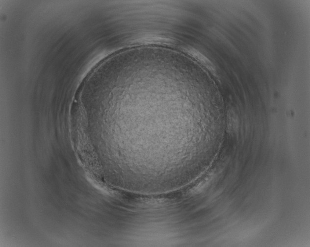 X0000074301039200608251205