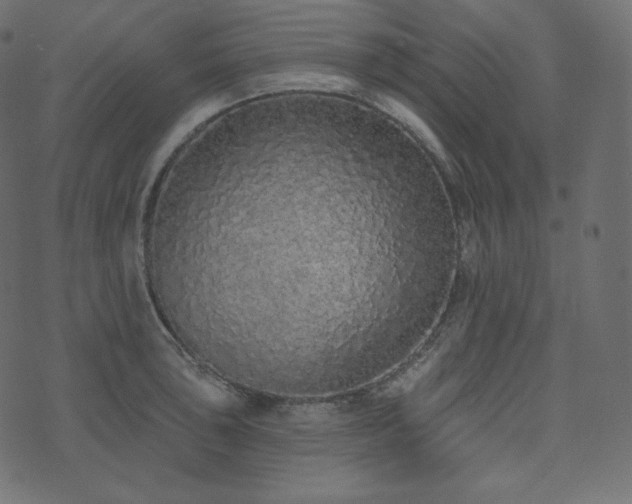 X0000074301043200608251205