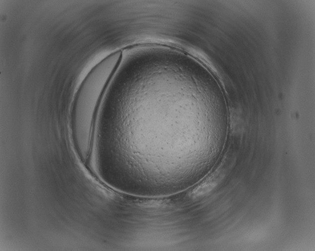 X0000074301048200608251205