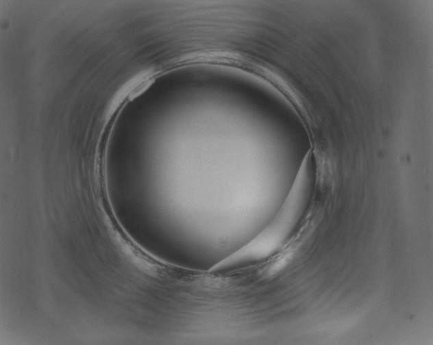 X0000074301050200608251205