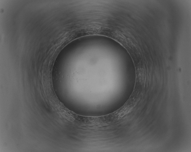 X0000074301057200608251205