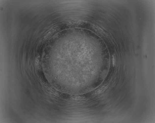 X0000074301059200608251205