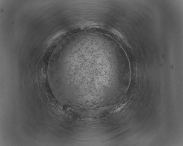 X0000074301063200608251205