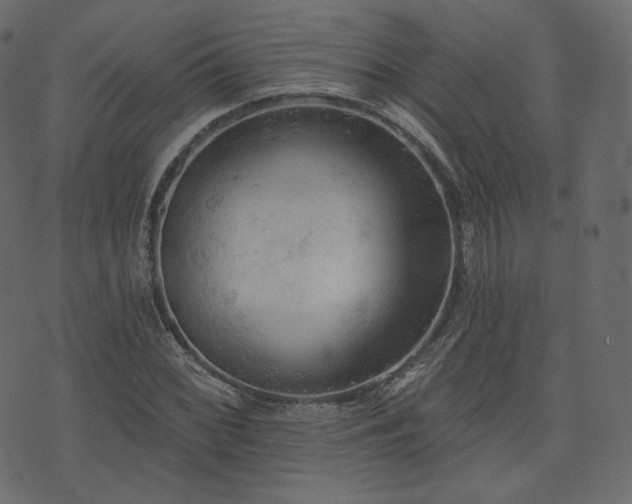 X0000074301068200608251204