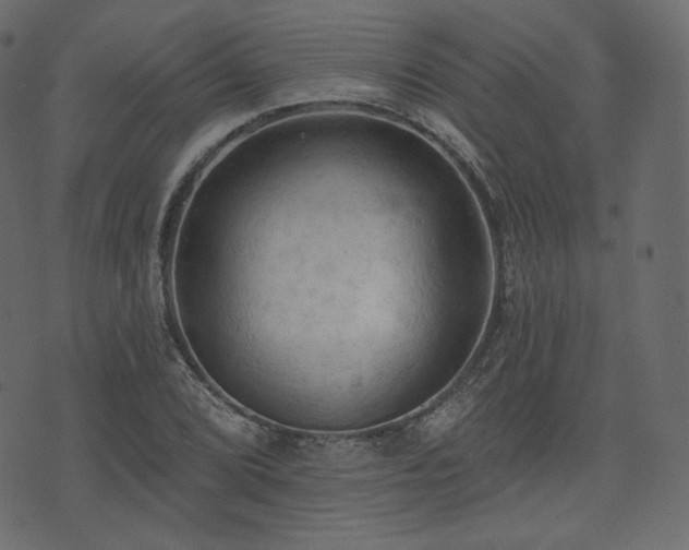 X0000074301072200608251204