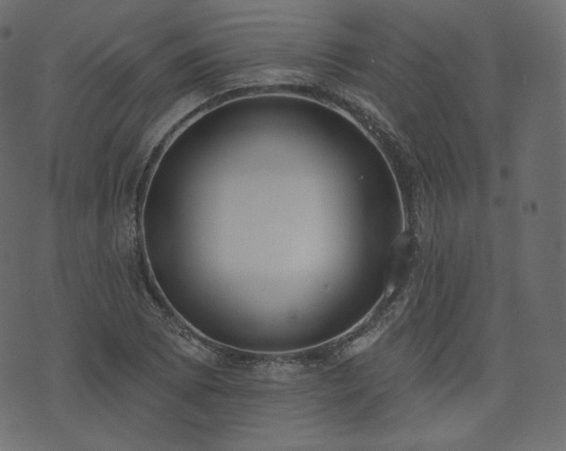 X0000074301073200608251204