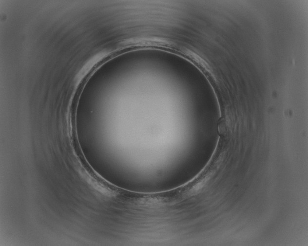 X0000074301082200608251204