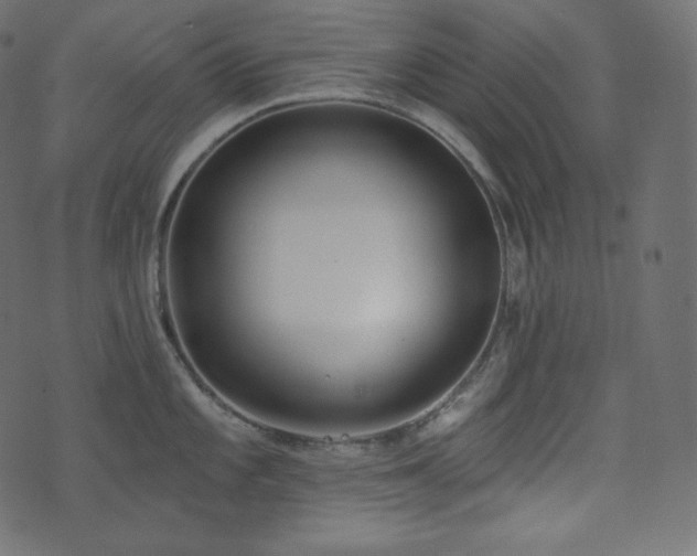 X0000074301101200608251204
