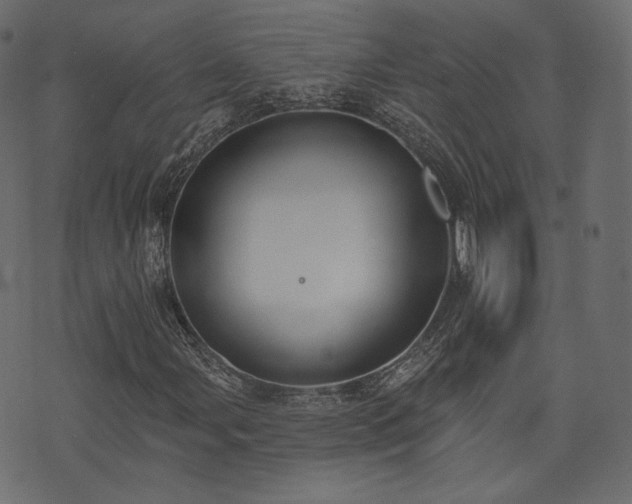 X0000074301107200608251203