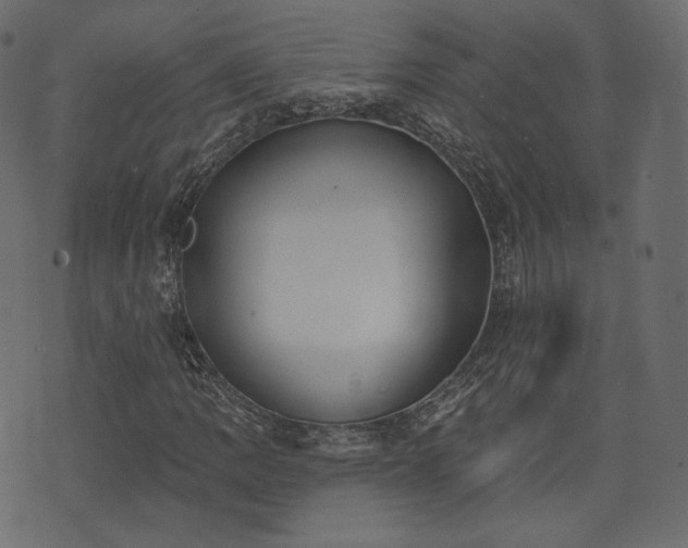 X0000074301109200608251203