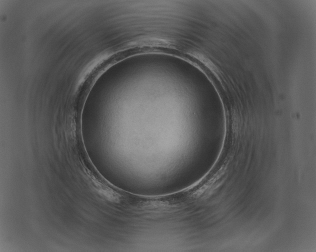X0000074301115200608251203