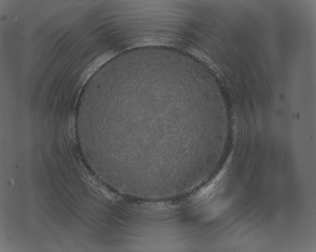 X0000074301121200608251203