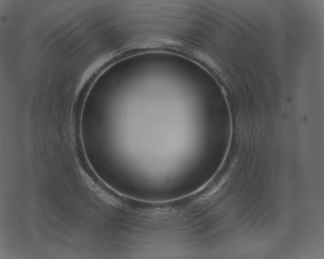 X0000074301122200608251203