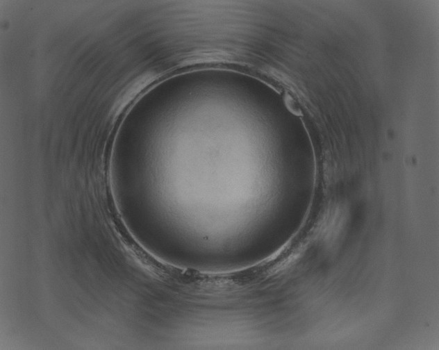 X0000074301129200608251203