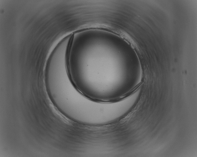 X0000074301132200608251204