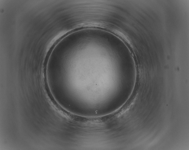 X0000074301133200608251204