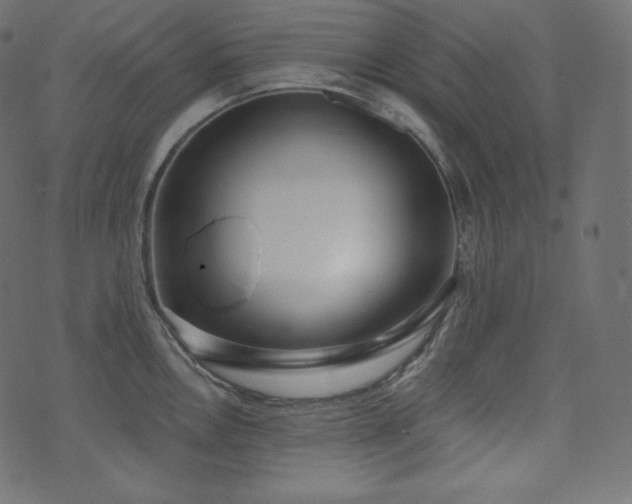 X0000074301146200608251204
