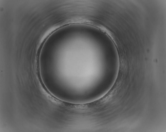X0000074301147200608251204