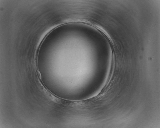 X0000074301148200608251204