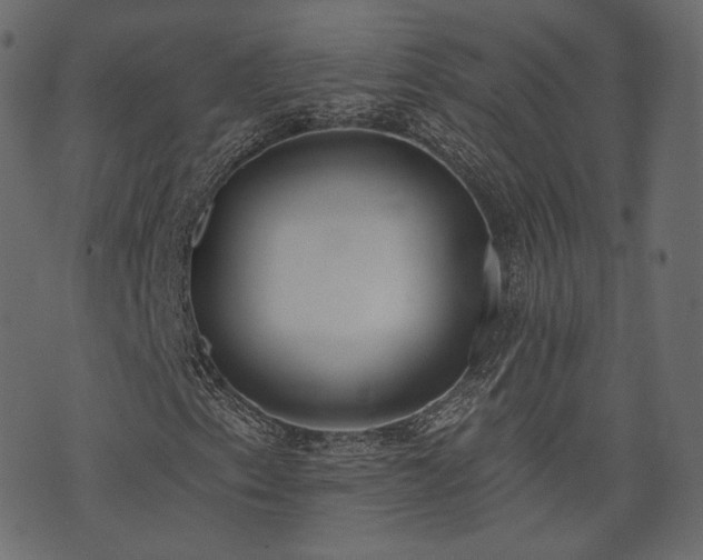 X0000074301153200608251203