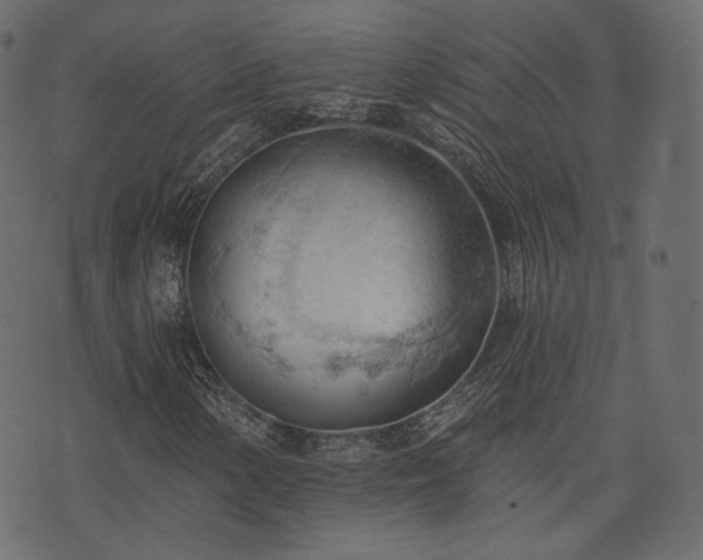 X0000074301154200608251203