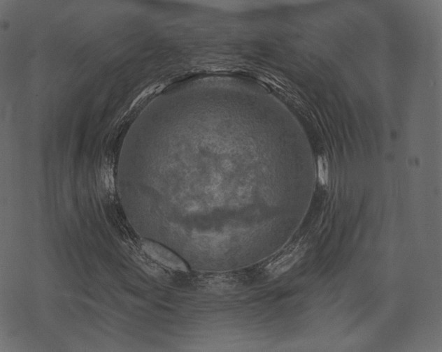 X0000074301155200608251203