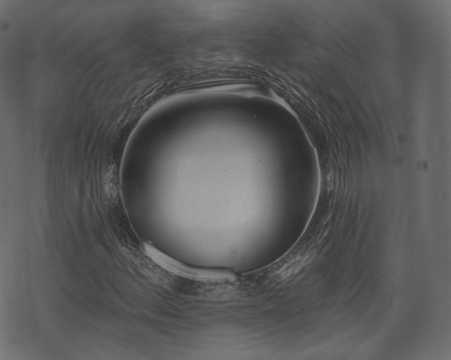 X0000074301156200608251203