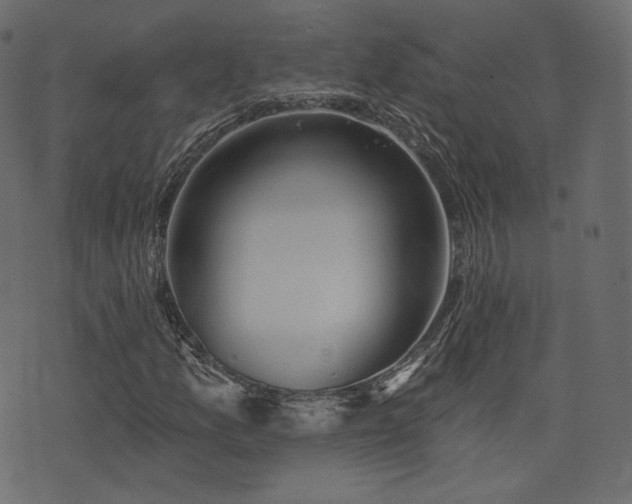 X0000074301157200608251203