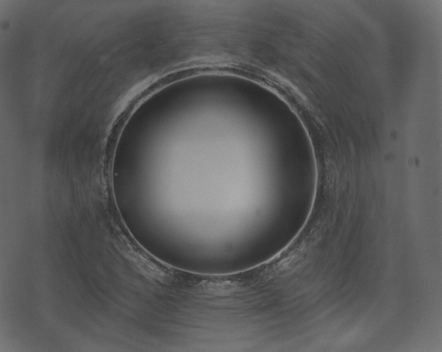 X0000074301168200608251203