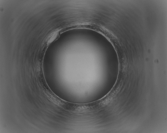 X0000074301169200608251203