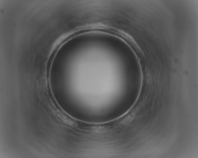 X0000074301176200608251203