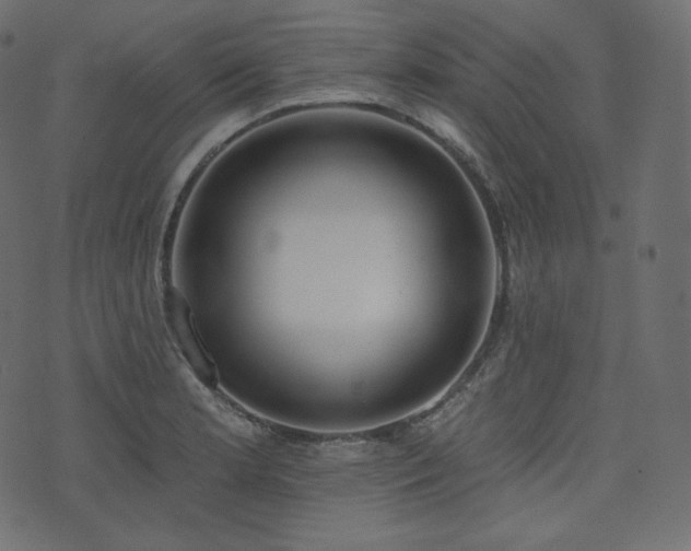 X0000074301181200608251203