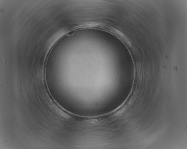 X0000074301186200608251203