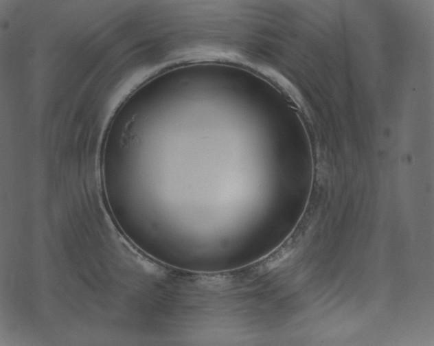 X0000074301191200608251202