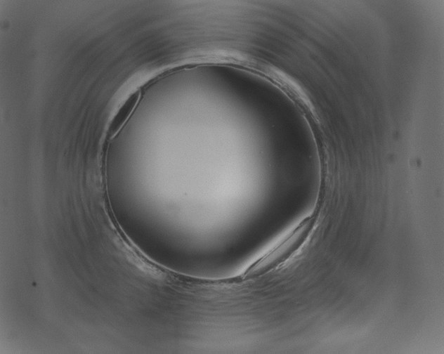 X0000074301192200608251202