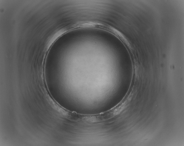 X0000074301194200608251202