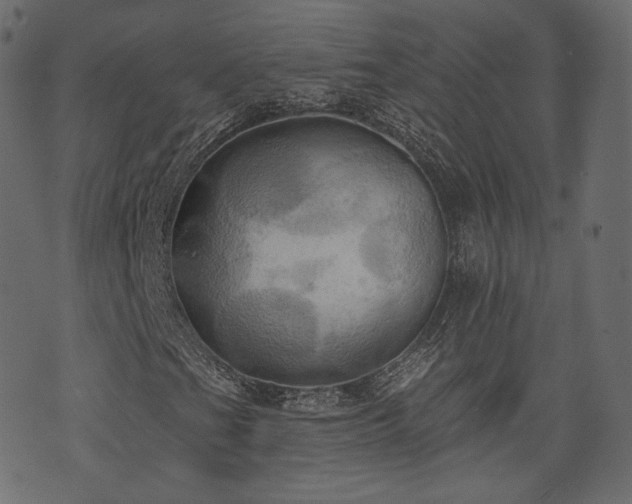 X0000074301201200608251202