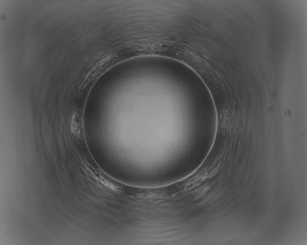 X0000074301202200608251202