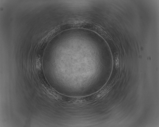 X0000074301204200608251202