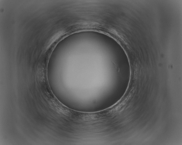X0000074301211200608251202
