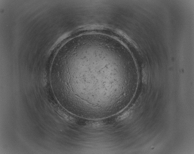 X0000074301213200608251202